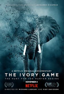The Ivory Game poster